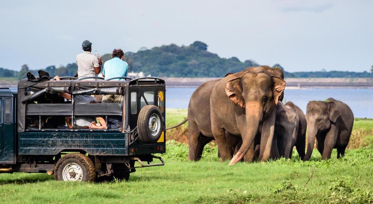 Dinesh Safari Homestay อุดาวาลาเว ภายนอก รูปภาพ