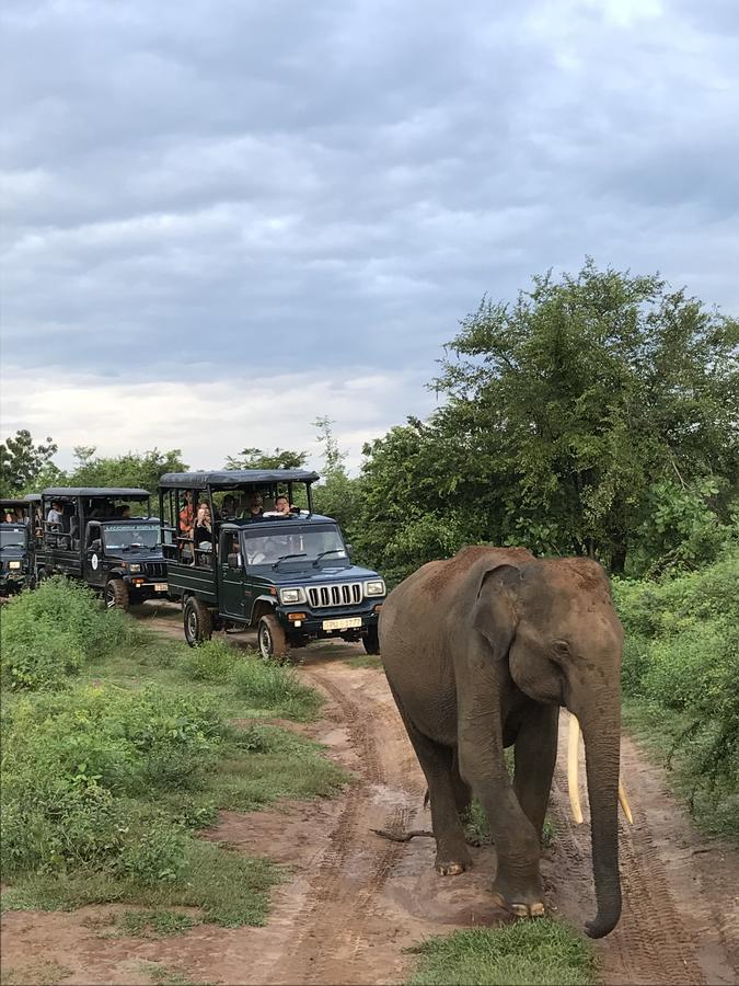 Dinesh Safari Homestay อุดาวาลาเว ภายนอก รูปภาพ